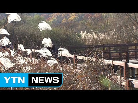 [날씨] 전국 맑고 반짝 추위, 모레까지 해수면↑ / YTN (Yes! Top News)
