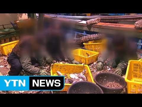 바닥까지 훑는 싹쓸이 불법 조업...몸살 앓는 바다 / YTN (Yes! Top News)
