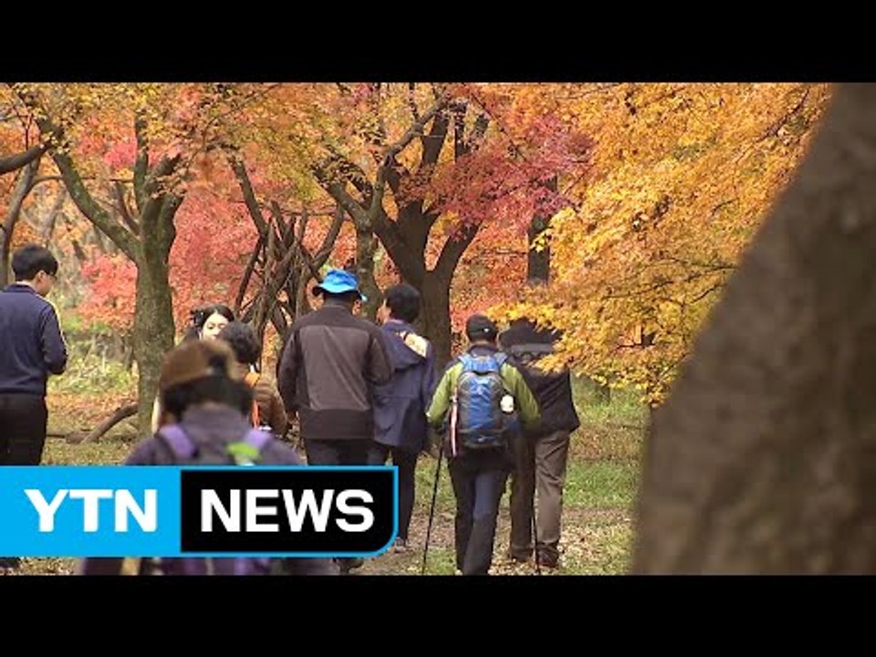 가을 끝자락 내장산 단풍 절정...강원도는 어느새 겨울 / YTN (Yes! Top...