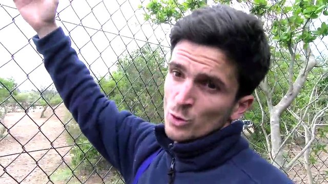 L'interview de Louis Pons, co-gérant du zoo de La Barben.