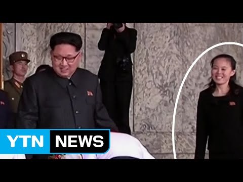 정부 김여정 대북제재 리스트 포함 신중히 검토 / YTN (Yes! Top News)