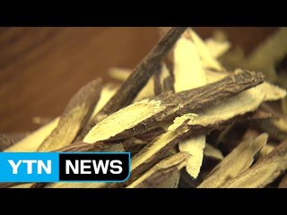 한방 산업, 현대화로 세계 시장 진출해야 / YTN (Yes! Top News)