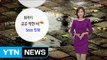 [날씨] 밤까지 곳곳 약한 비...내일 전국 맑고 선선 / YTN (Yes! Top News)