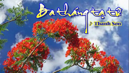[Karaoke] BA THÁNG TẠ TỪ - Thanh Sơn (Giọng Nam: Am)