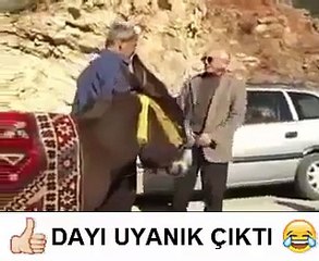 Yok Böyle Halı Reklamı