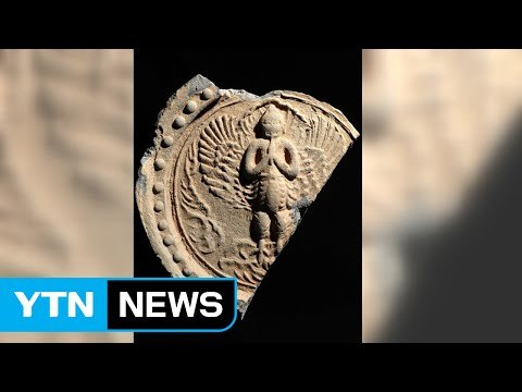 삼척 절터에서 대장경 문구 새겨진 비석 조각 발견 / YTN (Yes! Top News)