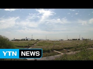 [날씨] 흐리고 선선...제주도·호남 해안 가을비 / YTN (Yes! Top News)