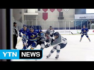 '빙판 위의 레알' 안양 한라, 경이적 승률 행진 / YTN (Yes! Top News)