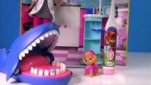 Paw Patrol Dentist Skye Brushes Shark Teeth Learning Video for Children | Fizzy Fun Toys