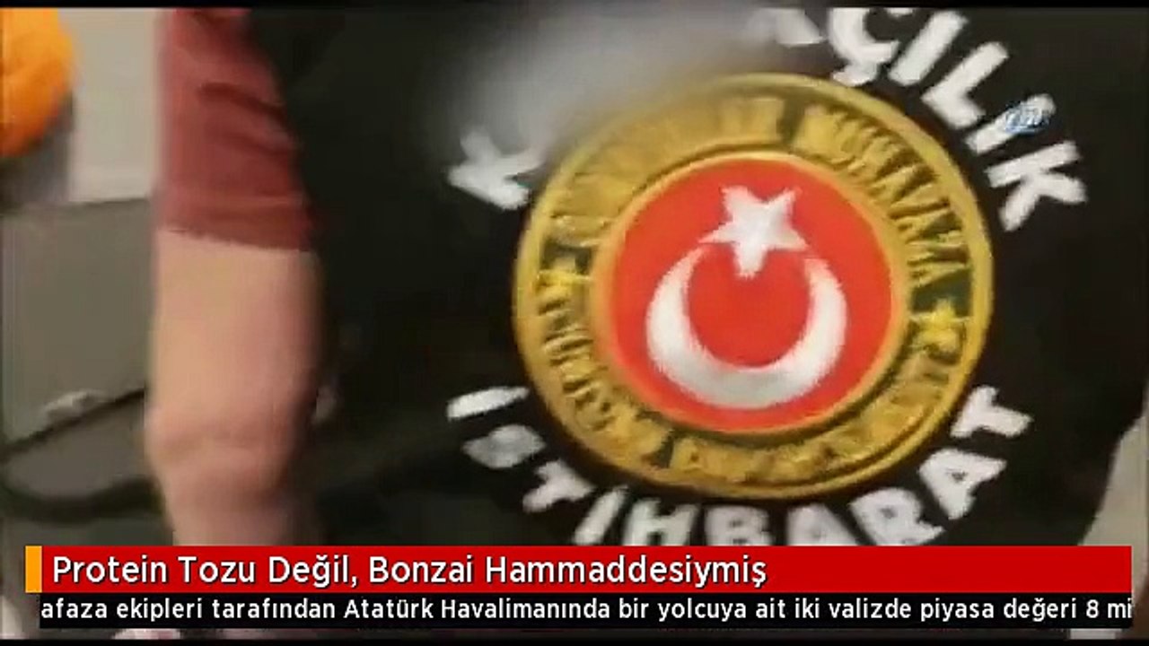 Protein Tozu Değil, Bonzai Hammaddesiymiş