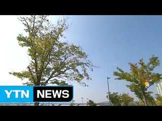 [날씨] 오늘 전국 맑고 포근...해수면 수위↑ / YTN (Yes! Top News)