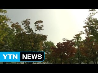 [날씨] 오늘 전국 맑고 따뜻...큰 일교차 / YTN (Yes! Top News)