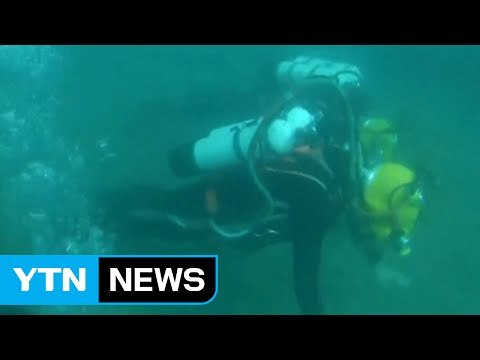 [영상] 바닷속에서도 '하나 둘!'...팔굽혀펴기 열풍 이유는? / YTN (Yes! Top News)