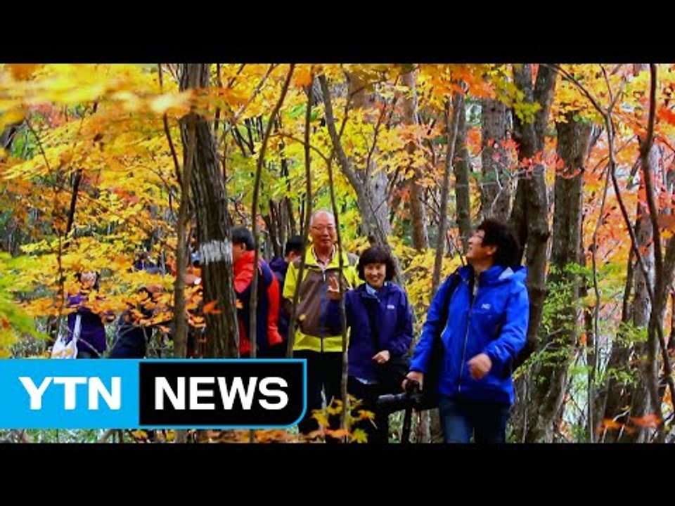 이번 주말 설악산 단풍 절정...북한산 '첫 단풍' / YTN (Yes! Top News)