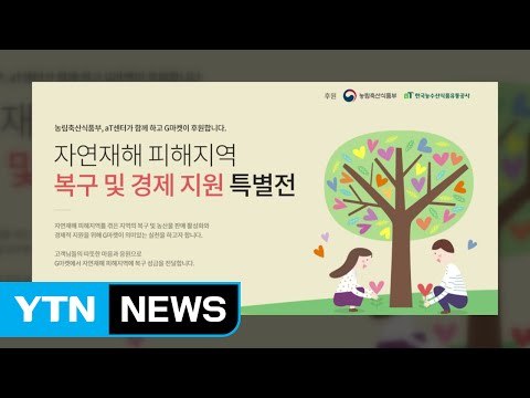 G마켓, 자연재해 피해 지역 농산물 기획전 / YTN (Yes! Top News)
