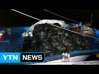 조개 캐던 50대 선원 숨진 채 발견 / YTN (Yes! Top News)