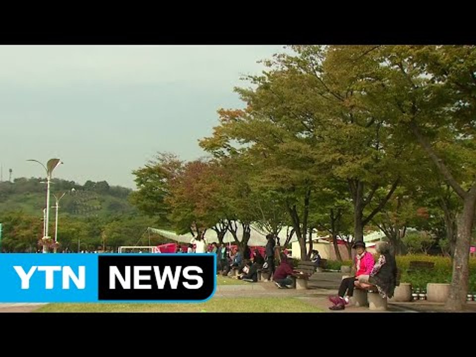 [날씨] 오늘 구름 많고 선선...빨라지는 도심 단풍 / YTN (Yes! Top N...