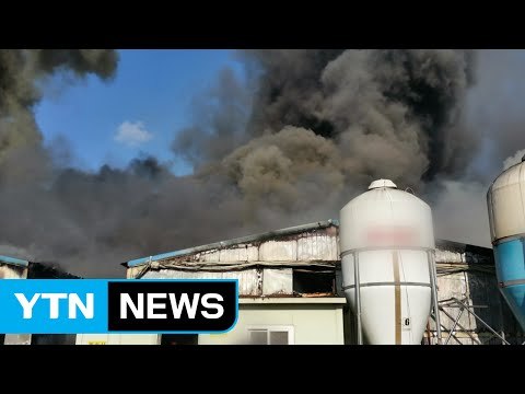 정읍 돼지농장 화재...돼지 5천 마리 폐사 / YTN (Yes! Top News)