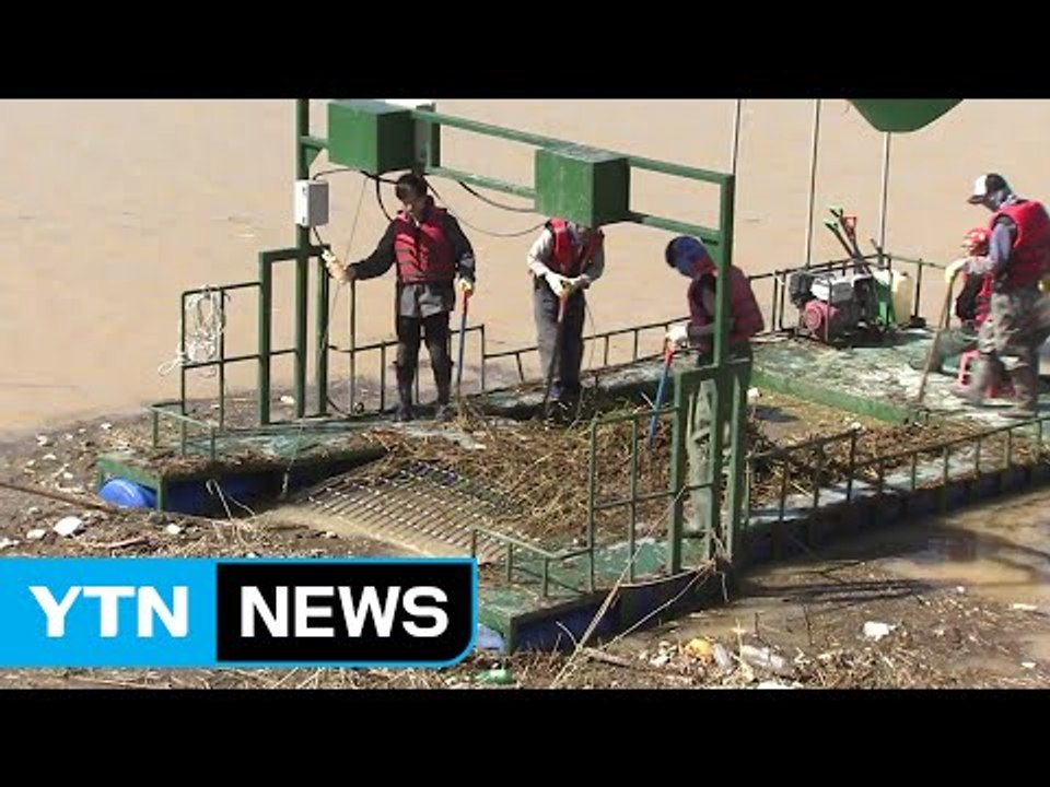 "상수원을 보호하라"...회야댐 쓰레기 수거 총력전 / YTN (Yes! Top News)