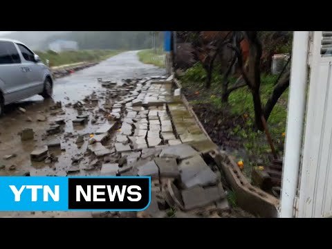 [영상] 담장 붕괴 사고 잇따라...옆으로 미는 힘에 취약 / YTN (Yes! Top News)