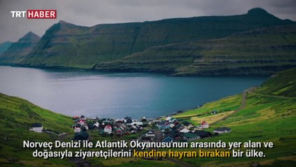 Faroe Adaları’nın kameraman koyunları
