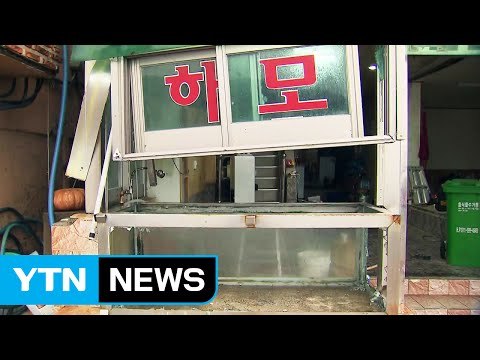 콜레라·김영란법에 태풍까지, 악재 겹친 횟집들 / YTN (Yes! Top News)