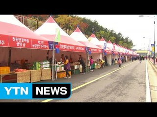 청원생명, 사이언스 축제 등 볼거리 풍성 / YTN (Yes! Top News)