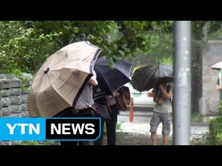 밤사이 남해안 100mm호우...오후까지 비 / YTN (Yes! Top News)