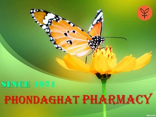 Buy Organic pure and natural honey