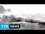 [영상] 여수 오동도에서 6명 파도에 휩쓸려 추락...모두 구조 / YTN (Yes! Top News)