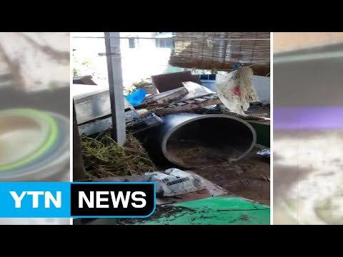 [영상] 태풍에 하천 범람...마을 수십 가구 침수 / YTN (Yes! Top News)
