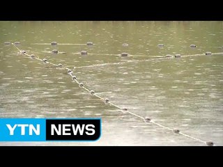 충남 서북부 비 시작...최대 100mm 예보 / YTN (Yes! Top News)