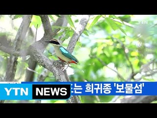 [YTN 실시간뉴스] 독도·한산도는 희귀종 '보물섬' / YTN (Yes! Top News)