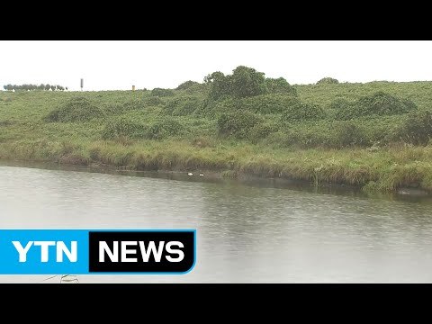 충남 서북부 호우주의보...빗줄기 강해져 / YTN (Yes! Top News)