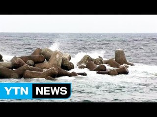 태풍 '차바' 북상...제주지역 바람 거세져 / YTN (Yes! Top News)