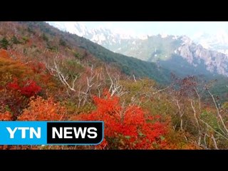 [영상] 설악산 첫 단풍 / YTN (Yes! Top News)