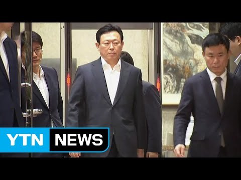 신동빈 회장 구속영장 기각...검찰 수사 차질 / YTN (Yes! Top News)