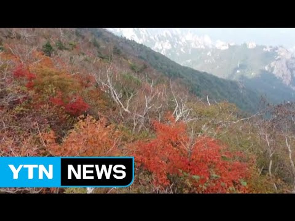 깊어가는 가을...설악산 첫 단풍 29일 / YTN (Yes! Top News)