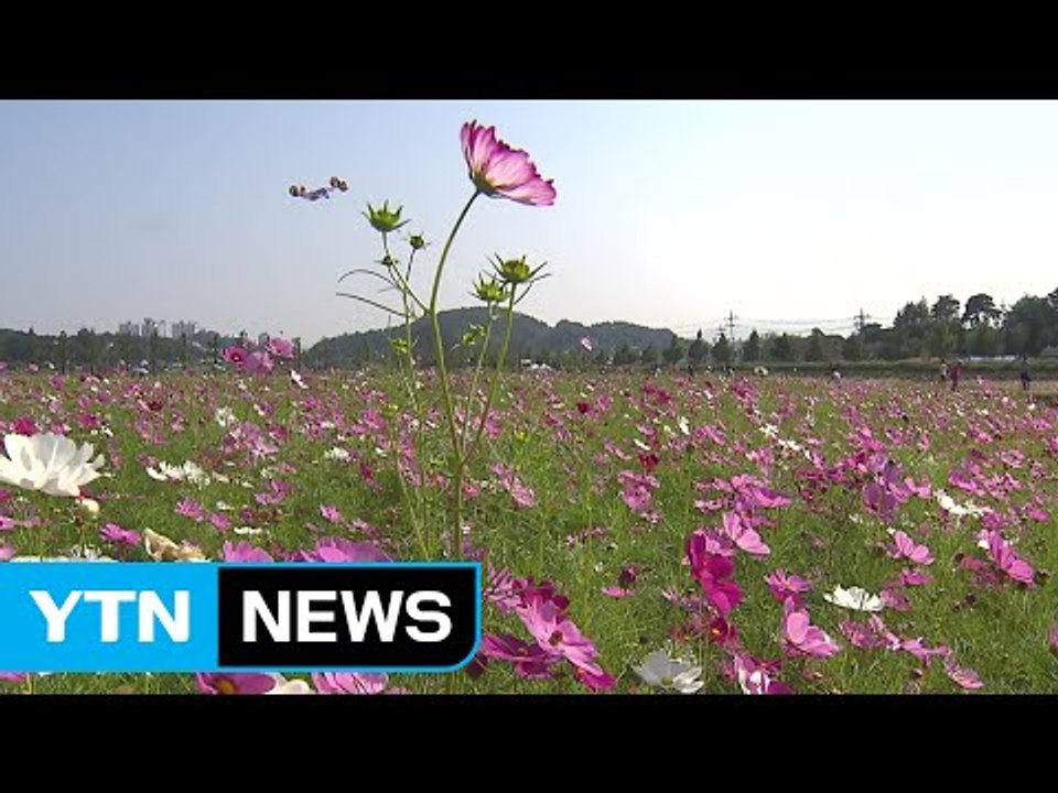 깊어가는 가을...설악산 첫 단풍 29일 / YTN (Yes! Top News)