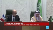 Saudi Arabia: French, Saudi FM hold press conference