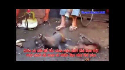 TỘI NGHIỆP  QUÁ NAM MÔ A DI ĐÀ PHẬT