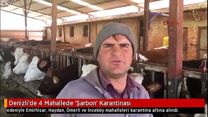 Denizli'de 4 Mahallede 'Şarbon' Karantinası