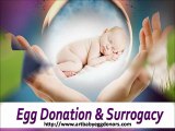 Surrogacy Services and Egg Donation Services ART baby Egg Donors