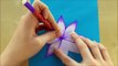 Basteln mit Papier: DIY Blumen Pop-Up Karten - 3D - DIY Geschenke selber machen. Origami Blume