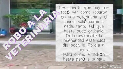 ESPELUZNANTE!!! ROBO A UNA VETERINARIA