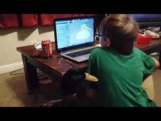 Loving Duck Just Wants to Hang Out With Human Pal