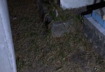 Un hombre de 60 años se suicidó al sur de Guayaquil