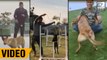 Compilation: MS Dhoni Training And Adorably Playing With His Dogs