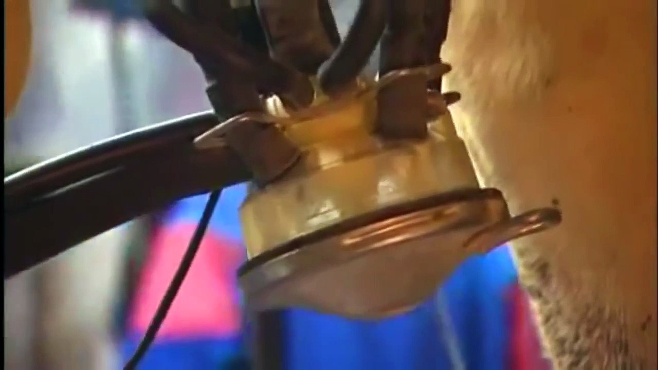 Intelligent farming intelligent Technology intelligent farming automatic cow cleaning machine