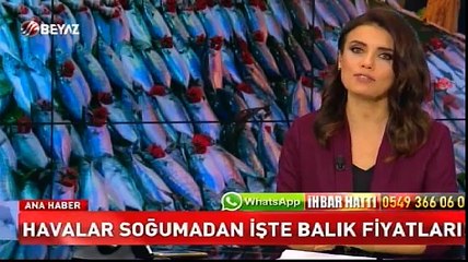 Havalar soğumadan işte balık fiyatları!